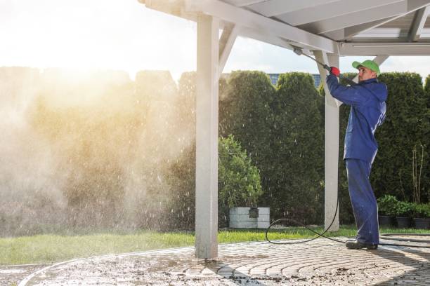 Best Solar Panel Cleaning  in Forest City, NC